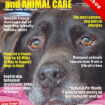 Pompom hasn't let fame in a magazine go to his head yet (but we won't tell the other dogs)