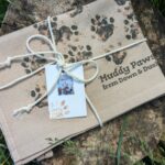 Muddy Paws